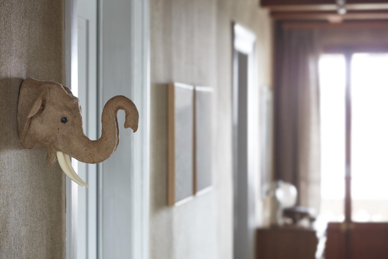 Boutique B&B Maison Bergdorf Ιντερλάκεν Εξωτερικό φωτογραφία